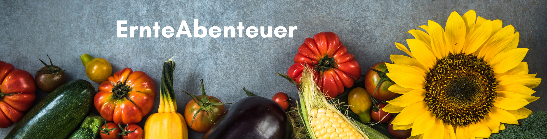 ErnteAbenteuer 1